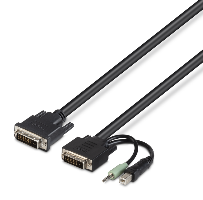 TAA 2 DVI/USB/AUD SKVM CBL, DVI-D M/M; USB A/B, 10', Black, hi-res